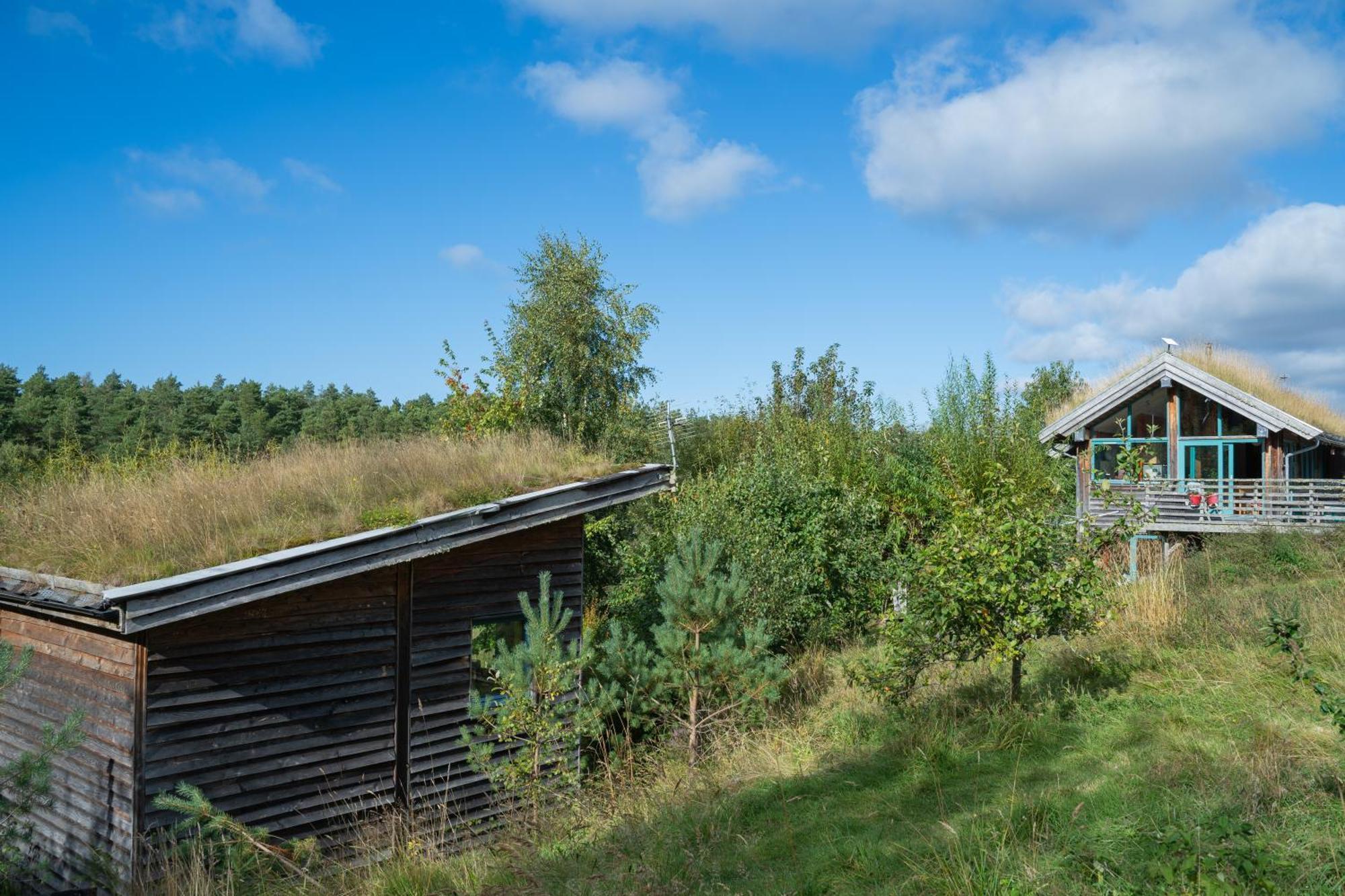 Stone End Studio Inverness Bagian luar foto